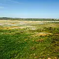 Région de Postberg entre août et septembre