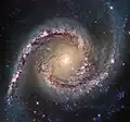 NGC 1566 télescope spatial Hubble.
