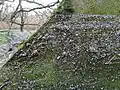 Microbilles en polyéthylène de 1 mm sur un rivage naturel d'un fleuve français.