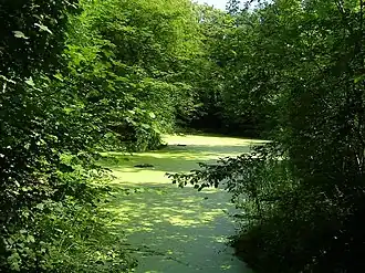 Image illustrative de l’article Parc forestier de la Poudrerie de Sevran