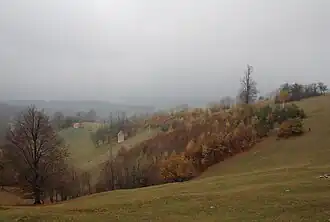 Zarožje