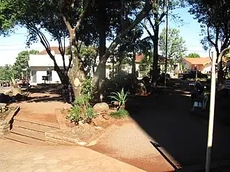 Mato Leitão