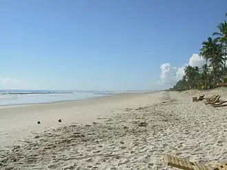 Canavieiras