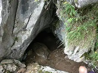 Image illustrative de l’article Grotte de Praileaitz