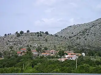 Prapratnica
