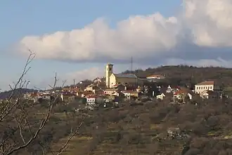 Praputnjak