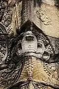 Nâga