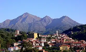 Trivero