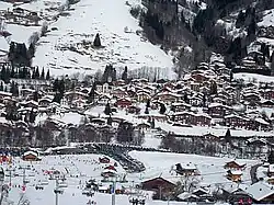 Vue des pistes de la station