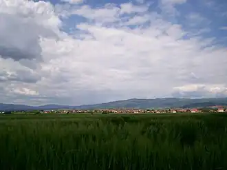 Prćilovica