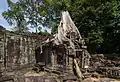 Restes d'un arbre ayant poussé sur l'un des bâtiments du temple.