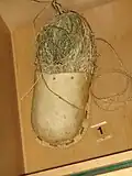 Reproduction d'une chaussure préhistorique