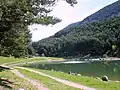 La promenade autour du lac