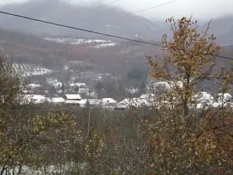 Pretrešnja