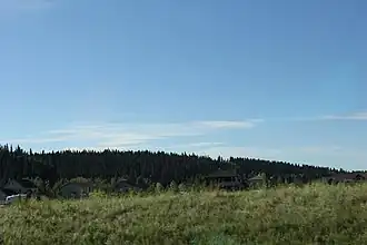 Priddis