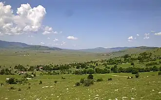 Prijani