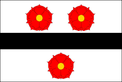 Drapeau de Prokopov
