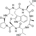 Prophalloïne