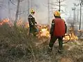 APFM protégeant les lisières d'un brûlage dirigé en Forêt Domaniale de Morières-Montrieux en 2006.