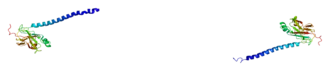 Image illustrative de l’article TRAF3