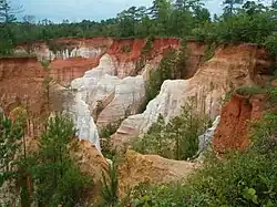 Paysage du Providence Canyon State Park en Géorgie.