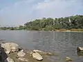Le Pruth près d'Ungheni.