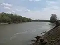 La rivière Prut près d'Albița