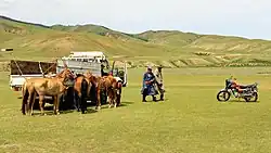 Trois chevaux sont attachés à un camion ; une moto est visible à droite.