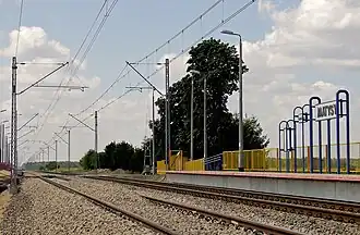 Szaniawy-Matysy
