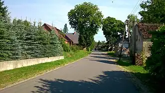 Psie Głowy