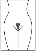 En maillot en triangle.