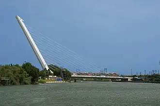 Image illustrative de l’article Pont de l'Alamillo