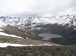 Dientes de Navarino.