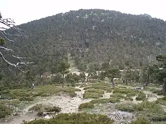 Image illustrative de l’article Col de la Fuenfría