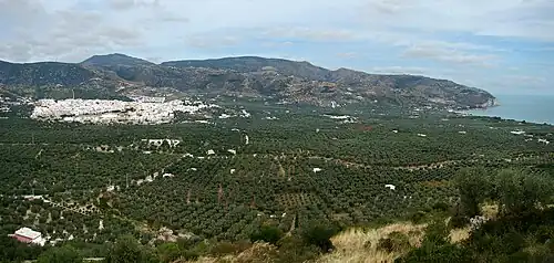 La côte autour de Mattinata