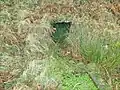 Ffynnon Tudno wici, l'un des nombreux puits du Grand Orme.