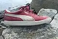 modèle de chaussure Suede