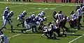 Formation de punt, le 'long snapper est le center de la lgne intérieur (#58 en bleu).