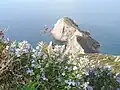 Cap Argentiera&nbsp;(it).