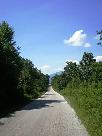 Trijebovo