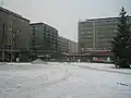 Coin de Puutori.