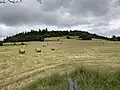 Puy du Bac vu du Cuzel.
