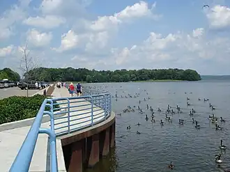 Linesville