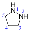Pyrazolidine