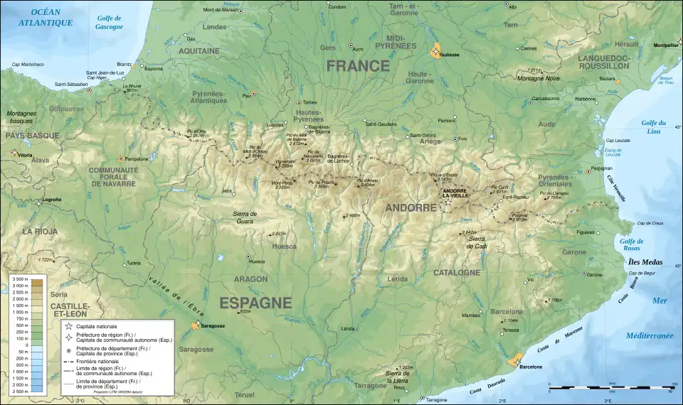 icône décorative