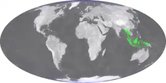 Description de l'image Pyrrosia angustata - distribution.png.