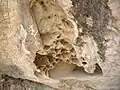 Vacuoles issues de météorisation par le sel, roche calcaire près de Qobustan (Azerbaïdjan).