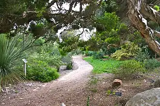 Image illustrative de l’article Jardin botanique de San Diego