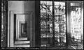 Musée de zoologie, vers 1900.
