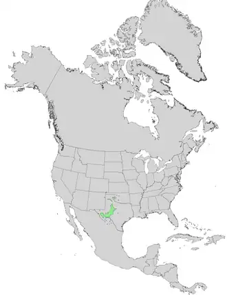 Description de l'image Quercus mohriana range map 0.png.